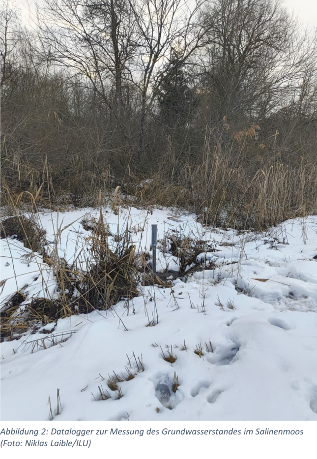 leicht verschneite Landschaft im Moor mit Pflanzen und Messgerät