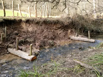 Gewässerentwicklungsplan am Walkersbach (Gemeinde Plüderhausen)