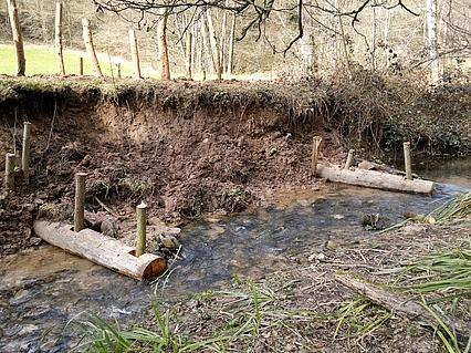 Gewässerentwicklungsplan am Walkersbach (Gemeinde Plüderhausen)