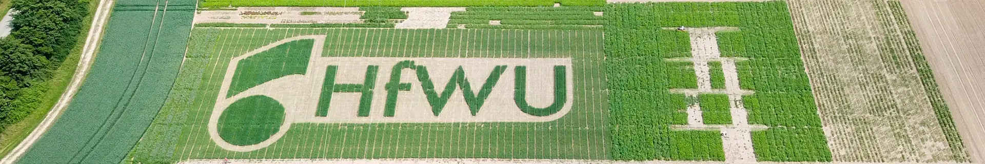 Sliderbild "Nachhaltigkeit". Das Bild zeigt das HfWU Logo als gemähtes Werk in einem Feld
