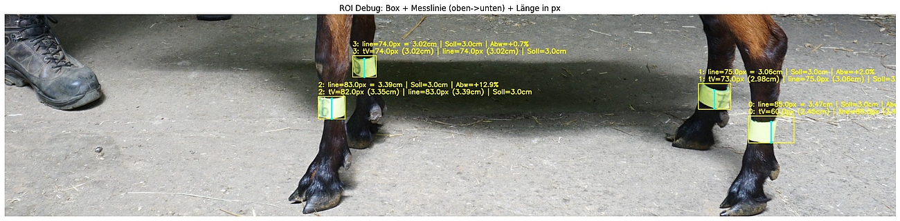 Beine einer Ziege mit Pixel- und Größendaten.