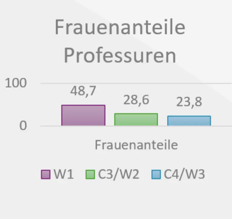 Schaubild Frauenanteile Professuren: W1 bei 48,7%, W2 bei 28,6%, W3 bei 23,8%