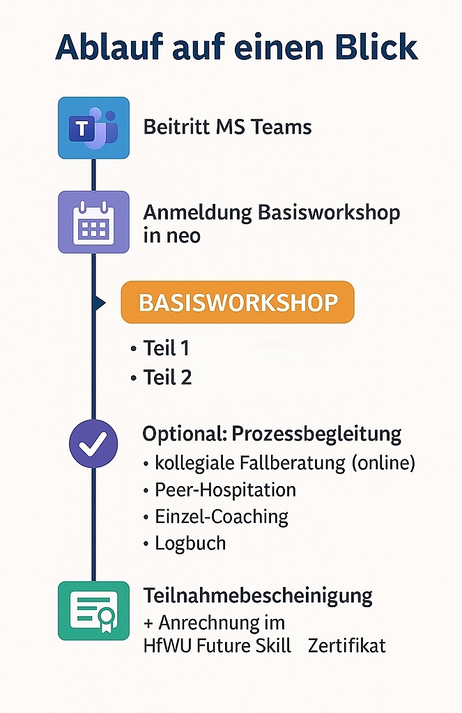 Ablauf Tutor:innenprogramm