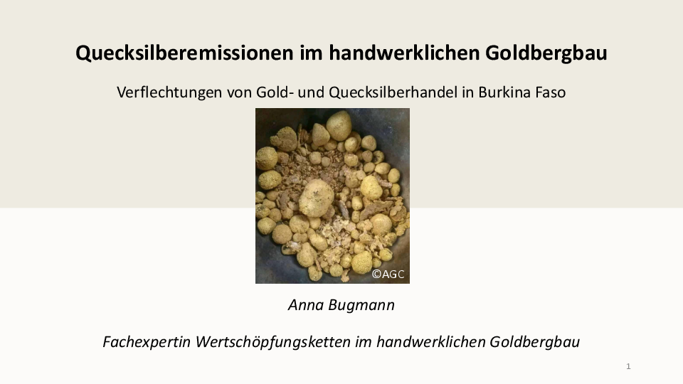 Vortrag Quecksilberemissionen im handwerklichen Goldbergbau, Anna Bugmann