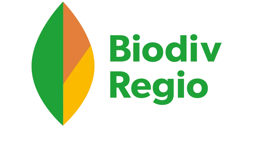 BiodivRegio Logo in grün, orange und gelb
