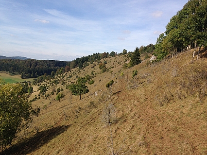 Eichhalde bei Buttenhausen