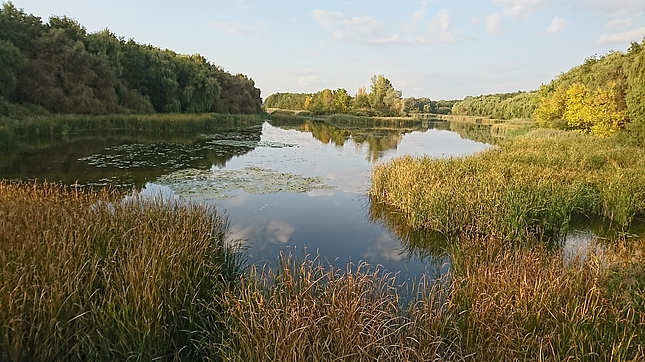 Naturlandschaft am Balaton