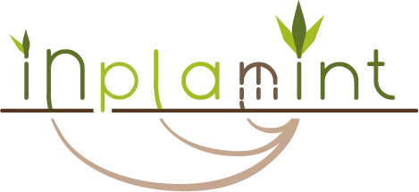 Inplamint Logo