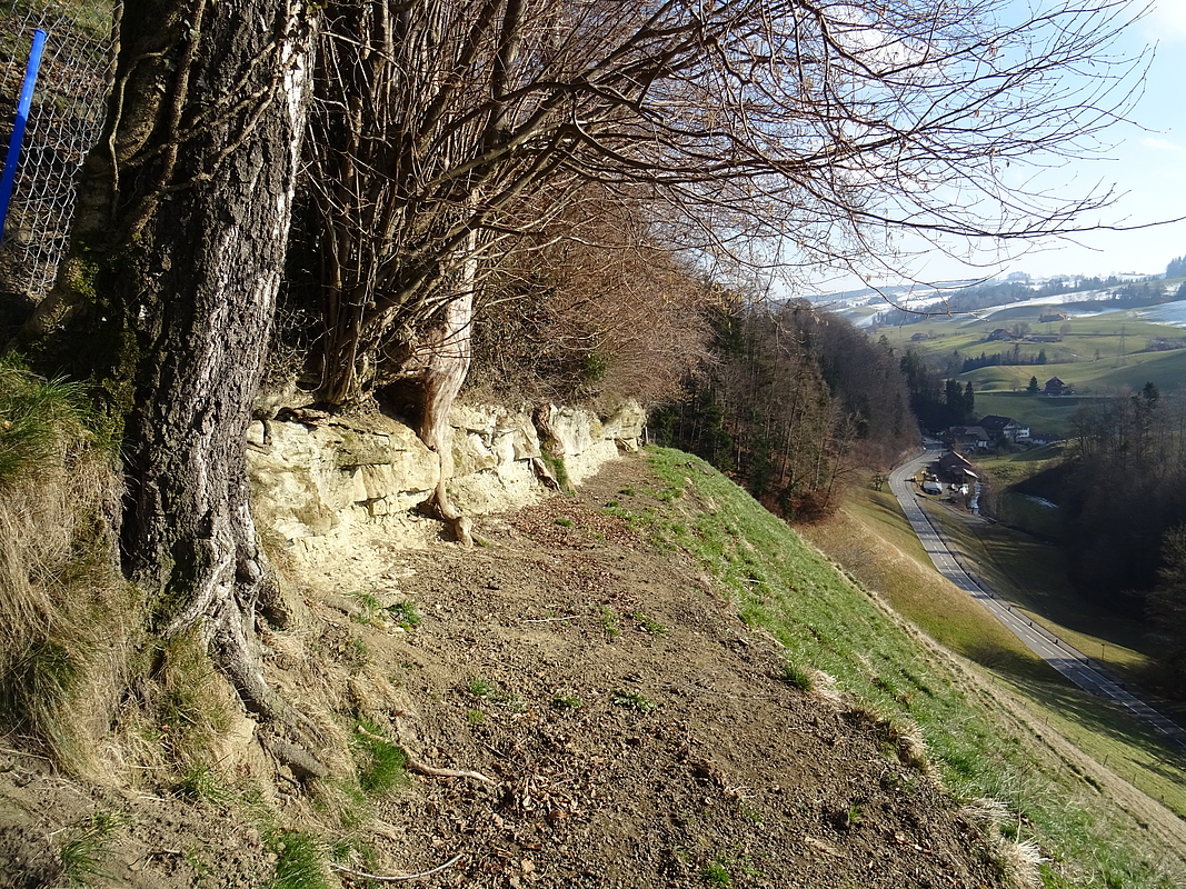 Steilhang mit Steinmauer