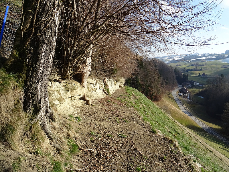 Steilhang mit Steinmauer