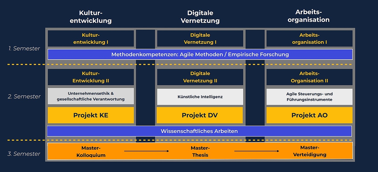 Studienaufbau Master Organisationsdesign