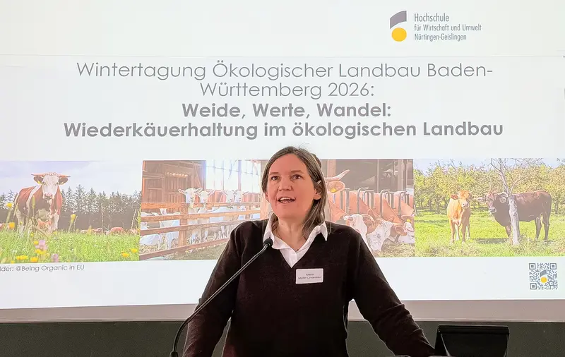 Einzelperson vor Präsentation