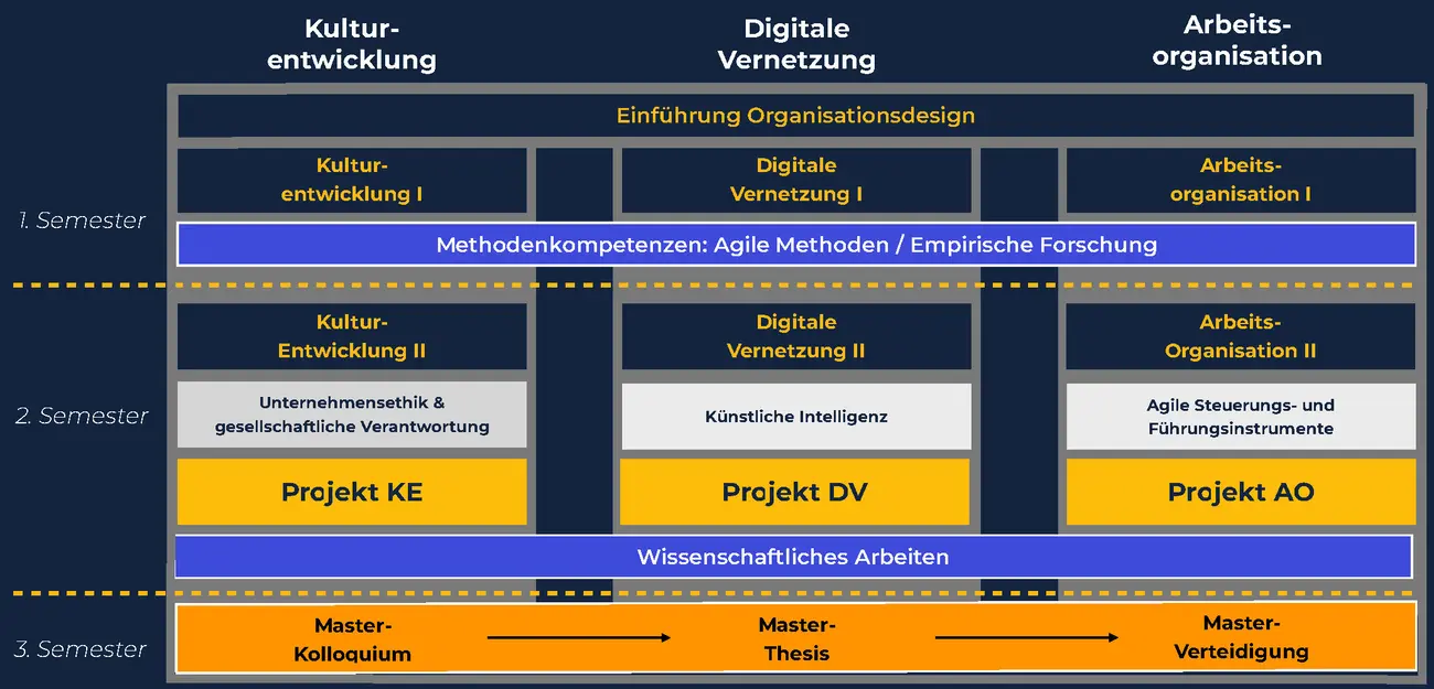 Studienaufbau Master Organisationsdesign