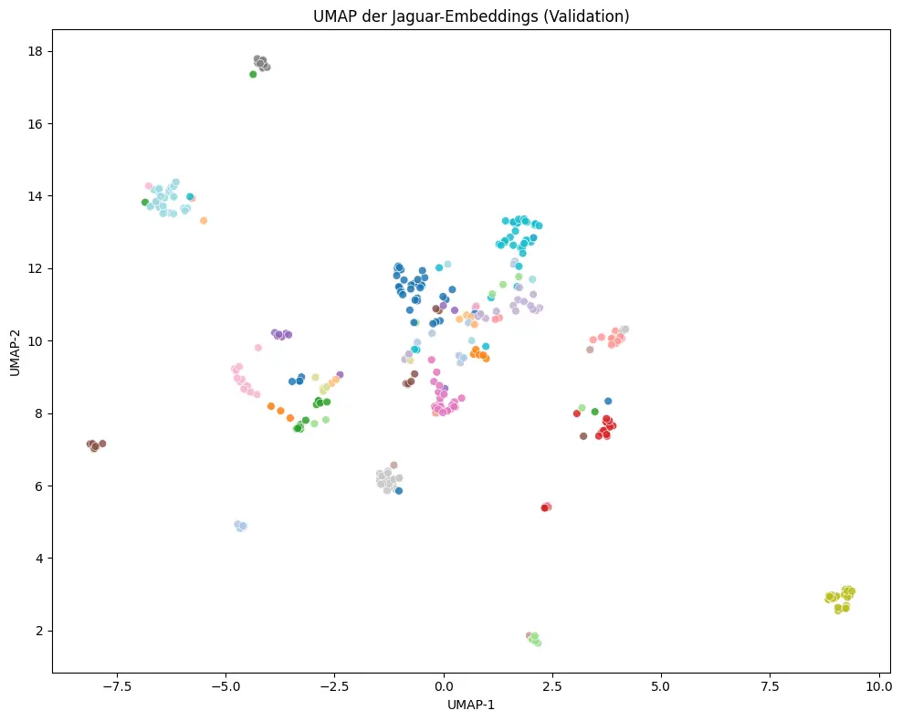 Grafik der statistischen Streuung der Jaguar-Bilder.