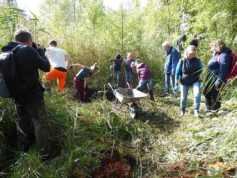 Menschengrupppe arbeitet im Moor