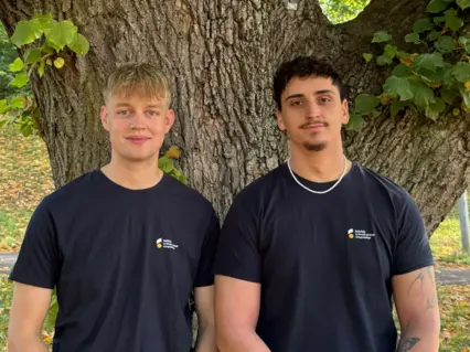 Tamme & Benedikt (Automobil- und Mobilitätswirtschaft)