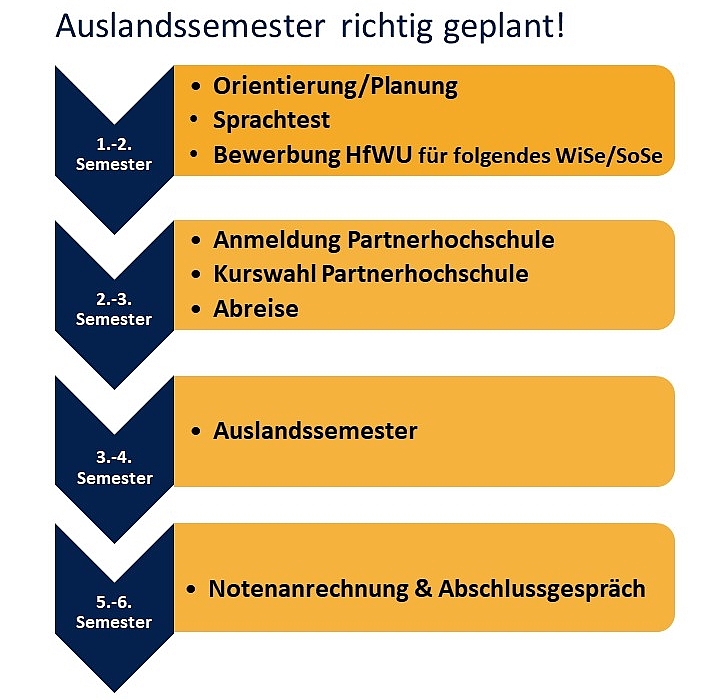 Grafik "Auslandssemester richtig geplant"