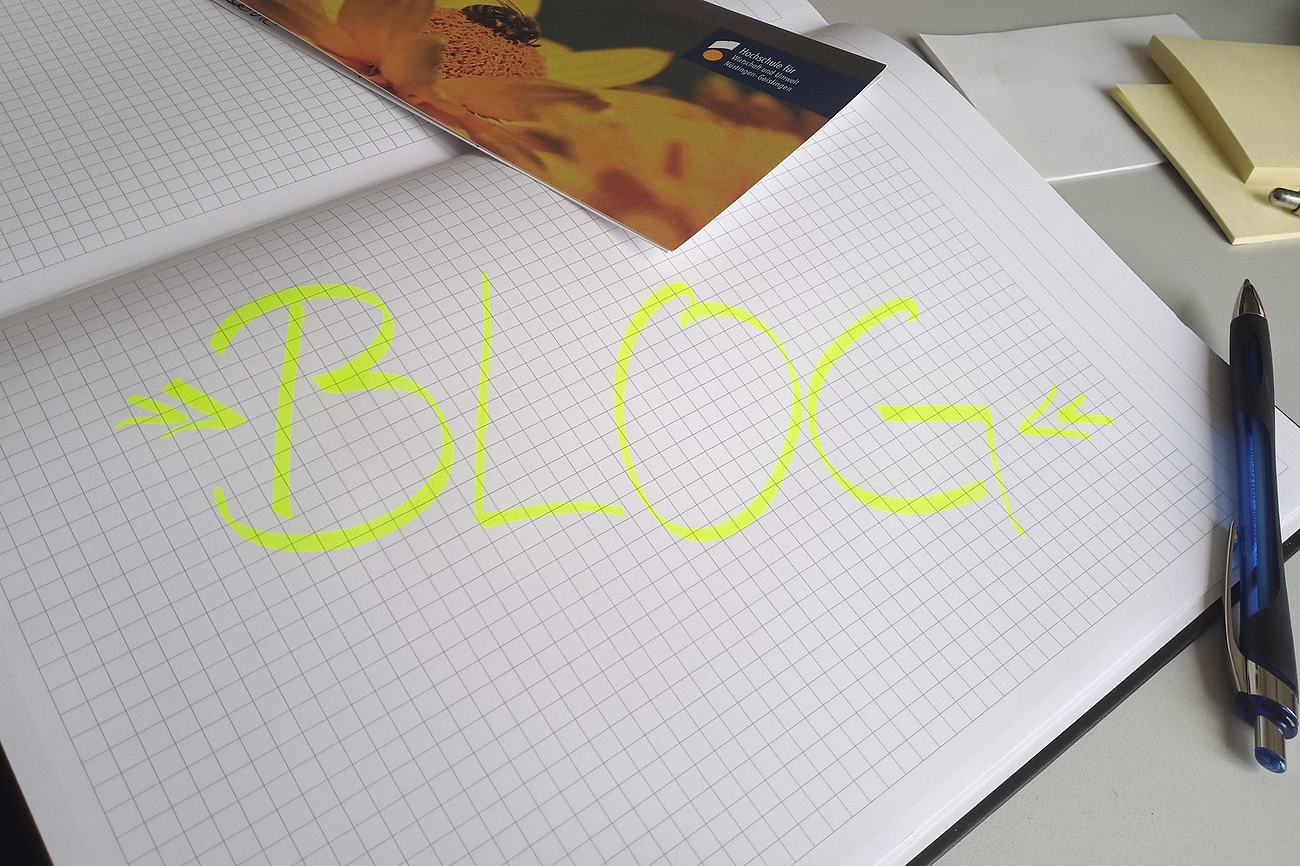 Der nap-Blog