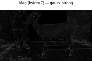 Ziege im Profil. Bearbeitet mit Sobel-Filter.