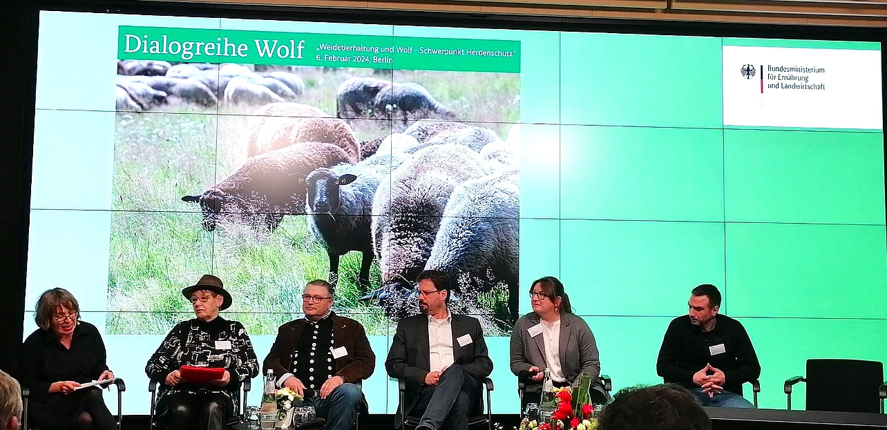 Prof Röhl und 6 weitere Personen auf der Bühne vor einem Bild mit Schafen