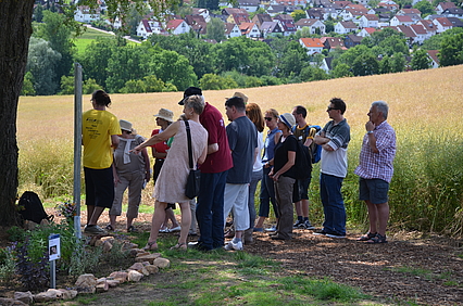 Gruppenführung für Erwachsene