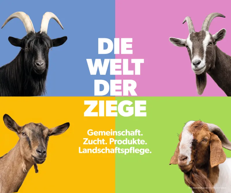 Poster des Projektes zum LWH. Inhalte wurden teilweise mit KI erstellt.