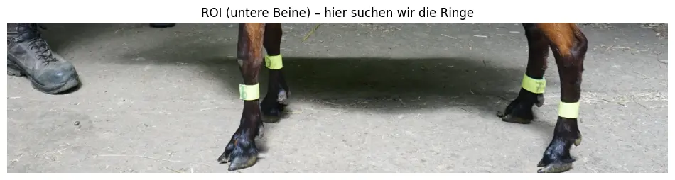 Beine einer Ziege in Farbe.