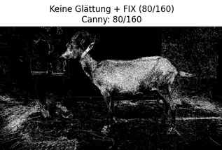 Ziege im Profil. Bearbeitet mit Canny-Filter.