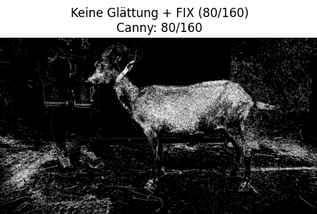 Ziege im Profil. Bearbeitet mit Canny-Filter.