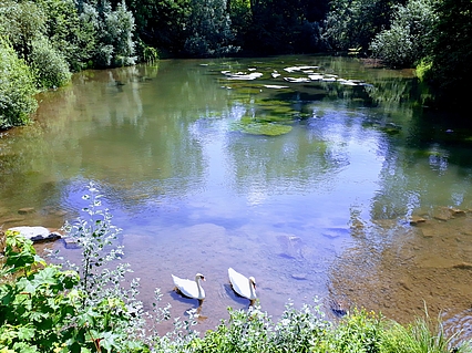 Kehl am Rhein