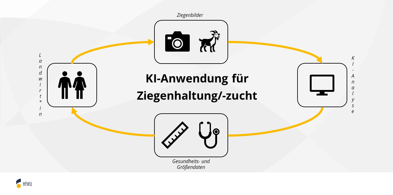 Workflow der späteren KI-Anwendung.