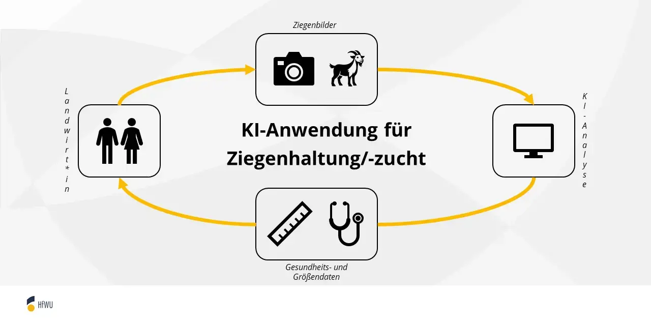 Workflow der späteren KI-Anwendung.