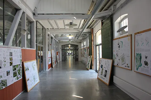 Studioarbeit an der SLU Alnarp