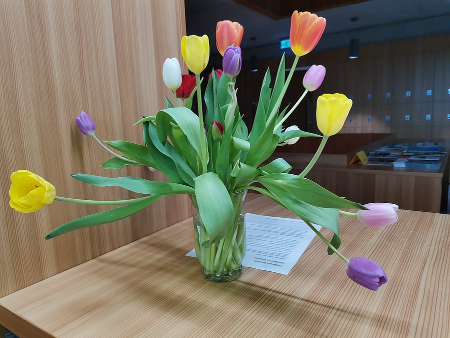 Tulpenstrauß auf der Bibliothekstheke