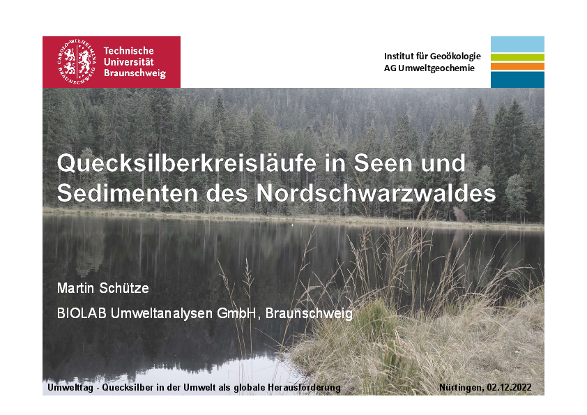 Quecksilberkreisläufe in Seen und Sedimenten des Nordschwarzwaldes