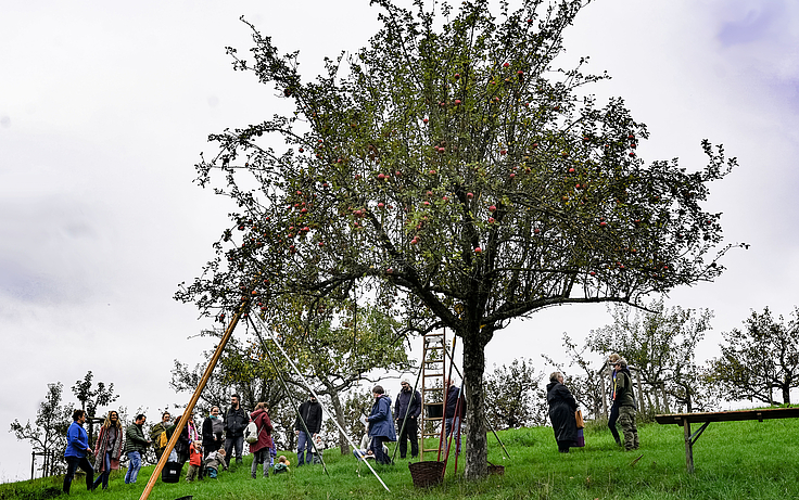 Apfelbaum mit Eltern und Kindern