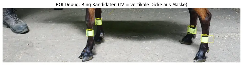 Beine einer Ziege in Farbe.