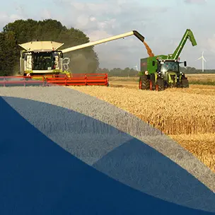 Kachelbild Studiengang Agrarwirtschaft (B.Sc.)