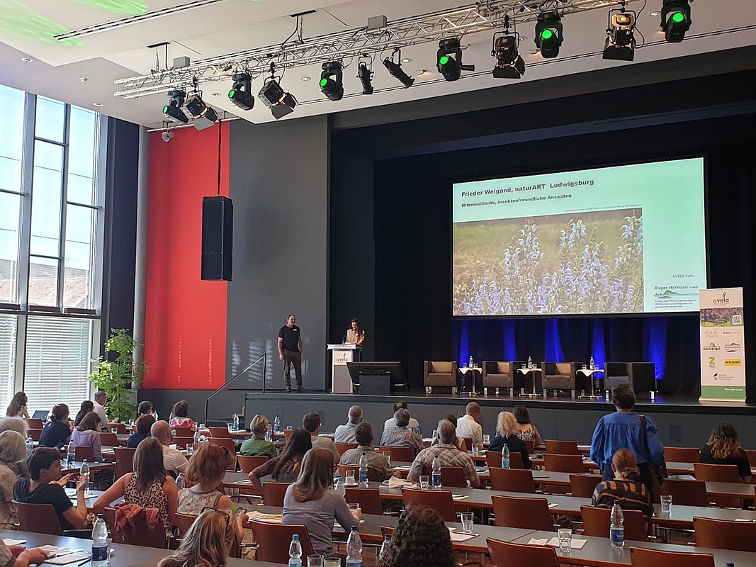 dasPublikum der avela Fachtagung vor der Bühne 