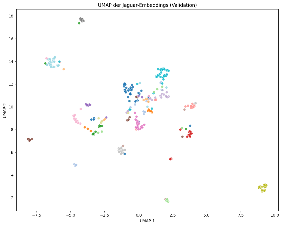 Grafik der statistischen Streuung der Jaguar-Bilder.