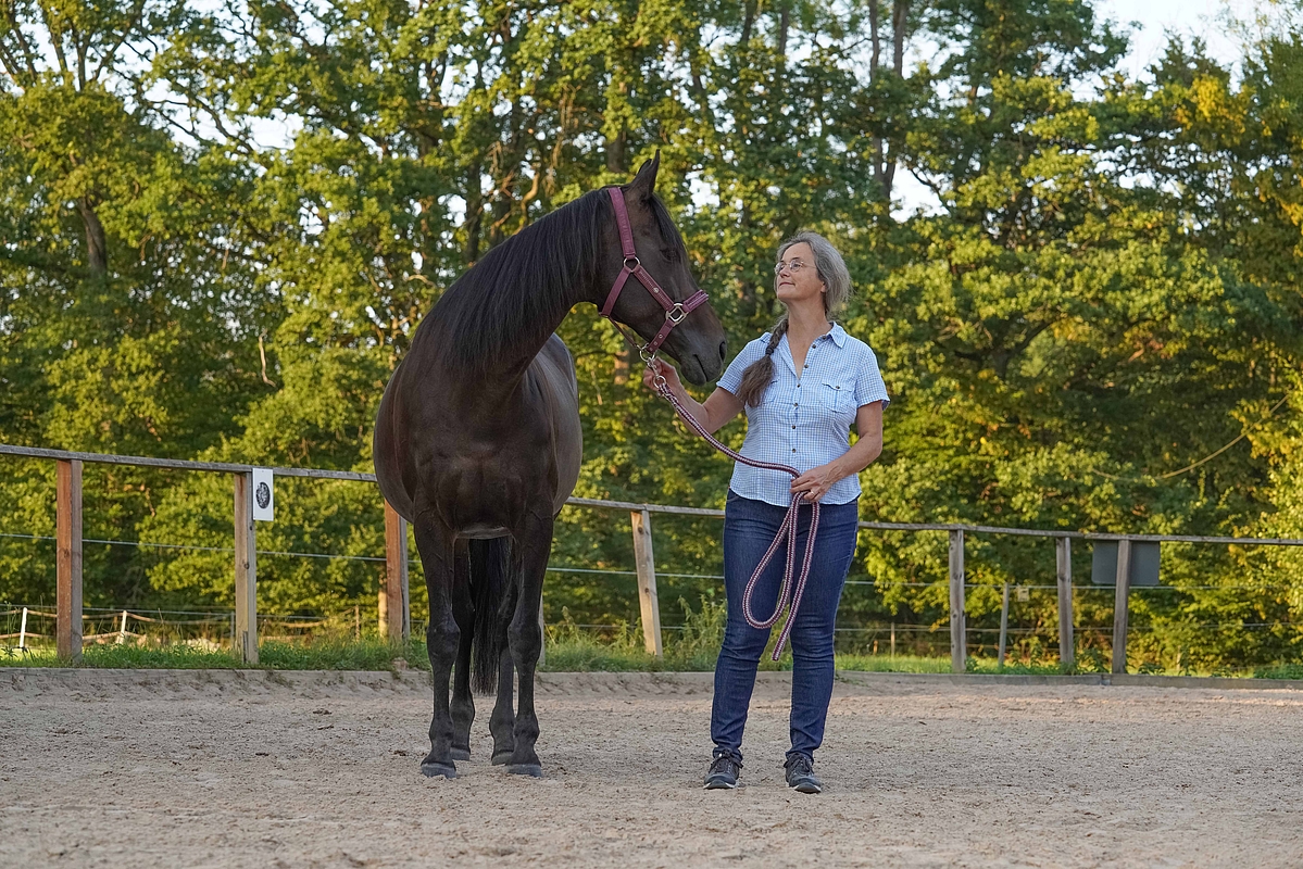 Pferd am Halfter mit Frau Krüger auf der Reitkoppel