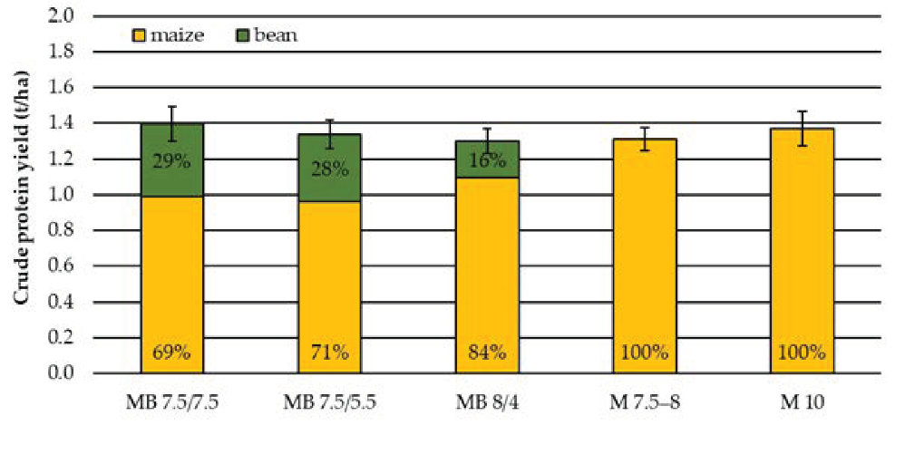 Anteile von Mais und Bohne an den Rohproteinerträgen von Mais-Stangenbohnen-Gemengeanbau (MB) und Mais-Reinanbau (M) in verschiedenen Bestandsdichten (Zahlen stehen für Pflanzen pro m²)