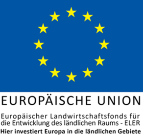 Logo Europäische Union 