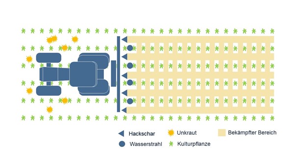 gezeichneter Traktor mit den bekämpfenden Waserstrahlen um die Kulturpflanzen