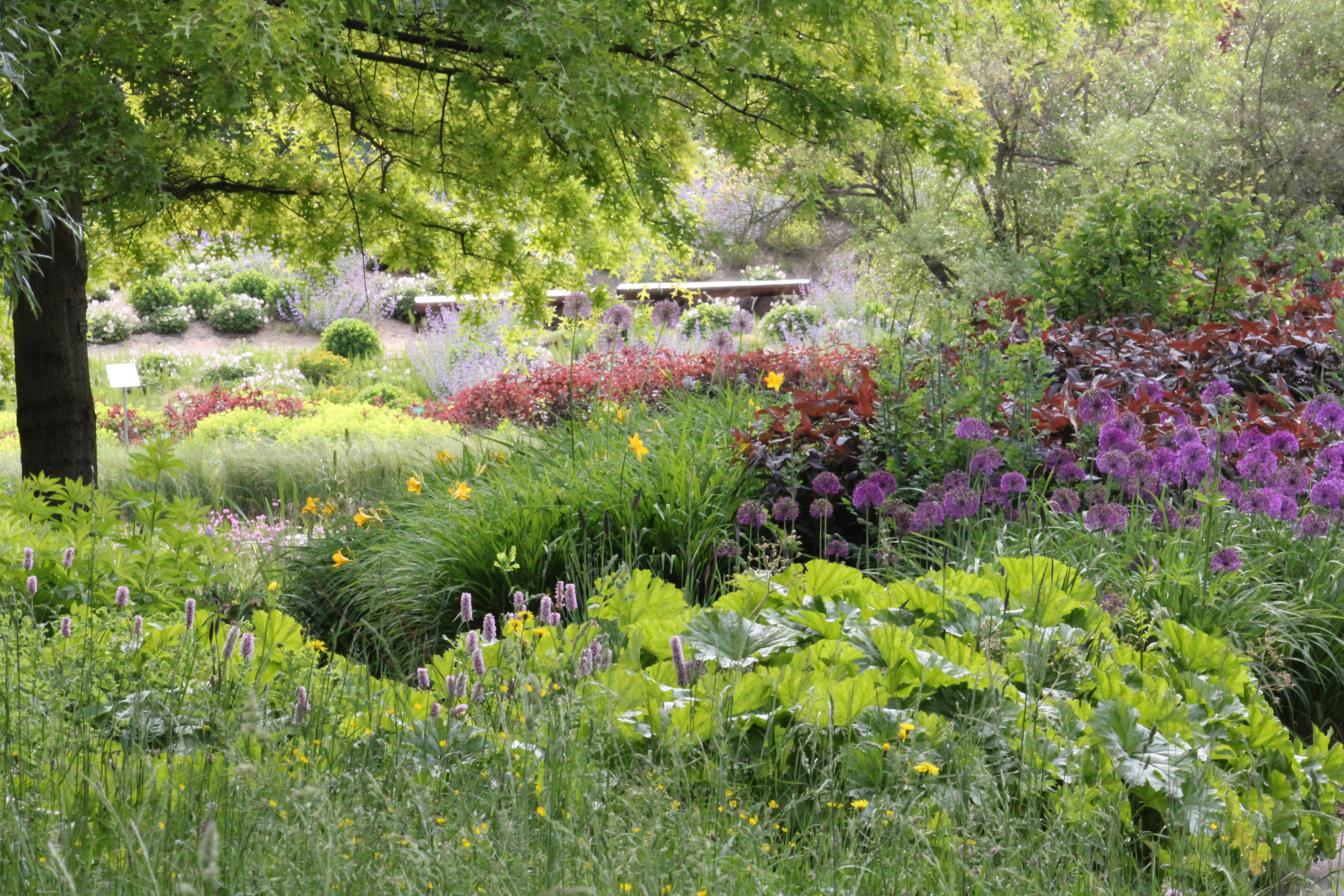 Lehr- und Versuchsgarten Braike