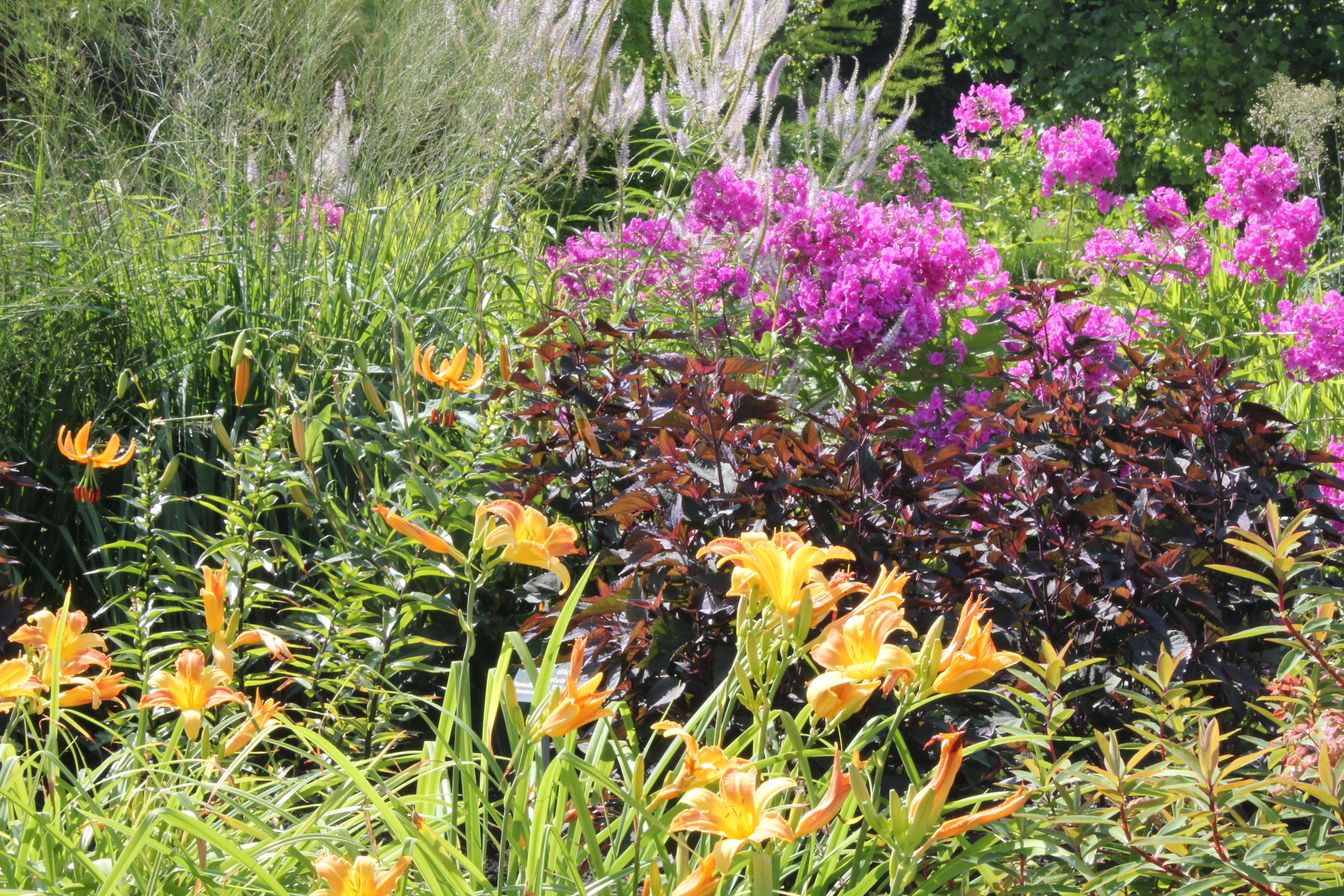 Lehr- und Versuchsgarten Braike