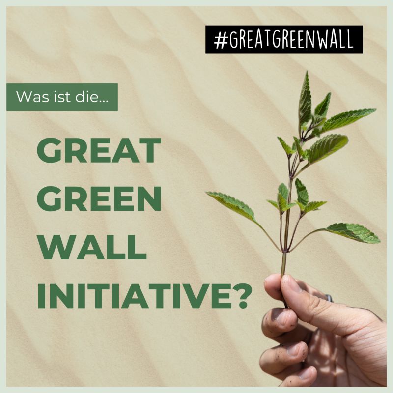 What is the Great Green Wall initiative?