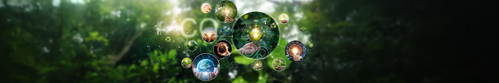 Nachhaltiges Management: Klimaschutz, Kreislaufwirtschaft, SDCs, Mobilitätswende, Transformation, Gemeinwohl