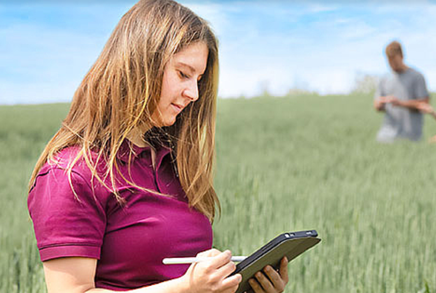 Junge Frau mit Laptop im Getreidefeld